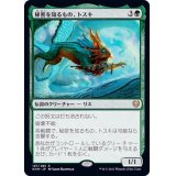 [EX+]秘密を知るもの、トスキ/Toski, Bearer of Secrets《日本語》【KHM】