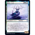 (FOIL)霜のモーリット/Moritte of the Frost《日本語》【KHM】