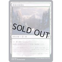 [EX+]森林の地割れ/Woodland Chasm《日本語》【KHM】