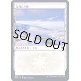 (FOIL)(277)冠雪の平地/Snow-Covered Plains《日本語》【KHM】