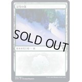 (FOIL)(284)冠雪の森/Snow-Covered Forest《日本語》【KHM】