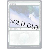 [EX+](284)冠雪の森/Snow-Covered Forest《日本語》【KHM】