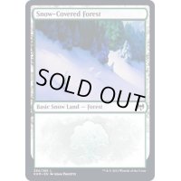 (284)冠雪の森/Snow-Covered Forest《英語》【KHM】
