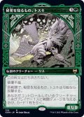 [EX](ショーケース枠)秘密を知るもの、トスキ/Toski, Bearer of Secrets《日本語》【KHM】