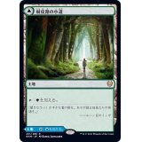 (FOIL)樹皮路の小道/Barkchannel Pathway《日本語》【KHM】