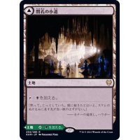 (FOIL)闇孔の小道/Darkbore Pathway《日本語》【KHM】