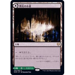 画像1: [EX](FOIL)闇孔の小道/Darkbore Pathway《日本語》【KHM】