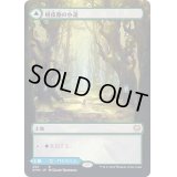 [EX](FOIL)(フルアート)樹皮路の小道/Barkchannel Pathway《日本語》【KHM】