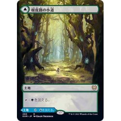 画像1: [EX+](フルアート)樹皮路の小道/Barkchannel Pathway《日本語》【KHM】