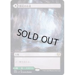 画像1: (FOIL)(フルアート)闇孔の小道/Darkbore Pathway《日本語》【KHM】