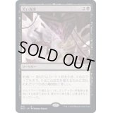苦い真理/Painful Truths《日本語》【NCC】
