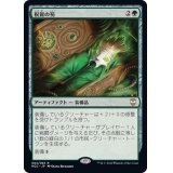 祝賀の笏/Scepter of Celebration《日本語》【NCC】