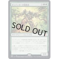 [EX+]ゼンディカーの報復者/Avenger of Zendikar《日本語》【NCC】
