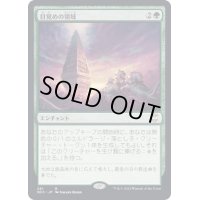 目覚めの領域/Awakening Zone《日本語》【NCC】