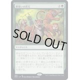 獣使いの昇天/Beastmaster Ascension《日本語》【NCC】