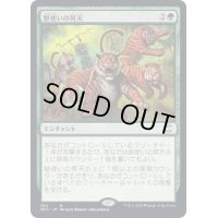獣使いの昇天/Beastmaster Ascension《日本語》【NCC】