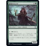 献身のドルイド/Devoted Druid《日本語》【NCC】