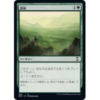 [EX+]探検/Explore《日本語》【NCC】