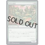 草茂る胸壁/Overgrown Battlement《日本語》【NCC】