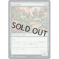 草茂る胸壁/Overgrown Battlement《日本語》【NCC】