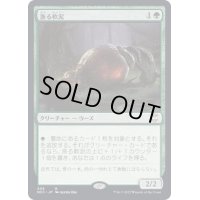 [EX+]漁る軟泥/Scavenging Ooze《日本語》【NCC】