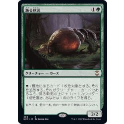 画像1: [EX+]漁る軟泥/Scavenging Ooze《日本語》【NCC】