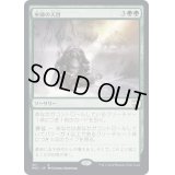 巫師の天啓/Shamanic Revelation《日本語》【NCC】