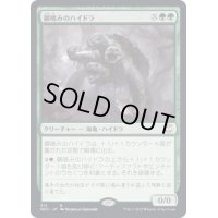 [EX+]鋼喰みのハイドラ/Steelbane Hydra《日本語》【NCC】