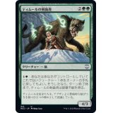 ティムールの剣歯虎/Temur Sabertooth《日本語》【NCC】