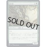 [EX+]根の壁/Wall of Roots《日本語》【NCC】