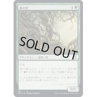 [EX+]根の壁/Wall of Roots《日本語》【NCC】