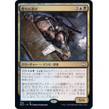 堕ちた忍び/Fallen Shinobi《日本語》【NCC】