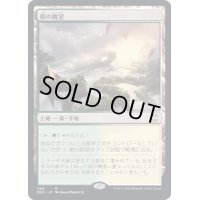 [EX+]梢の眺望/Canopy Vista《日本語》【NCC】