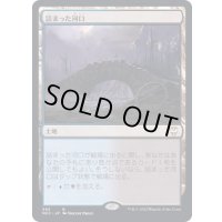 [EX+]詰まった河口/Choked Estuary《日本語》【NCC】