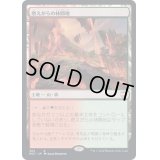 [EX+]燃えがらの林間地/Cinder Glade《日本語》【NCC】