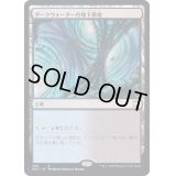 [EX+]ダークウォーターの地下墓地/Darkwater Catacombs《日本語》【NCC】
