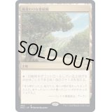 [EX+]風変わりな果樹園/Exotic Orchard《日本語》【NCC】