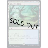 溢れかえる果樹園/Flooded Grove《日本語》【NCC】