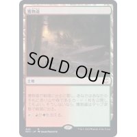 [EX+]獲物道/Game Trail《日本語》【NCC】