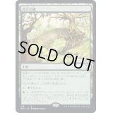 [EX+]苔汁の橋/Mosswort Bridge《日本語》【NCC】