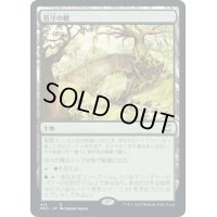[EX+]苔汁の橋/Mosswort Bridge《日本語》【NCC】