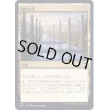 祖先の道/Path of Ancestry《日本語》【NCC】