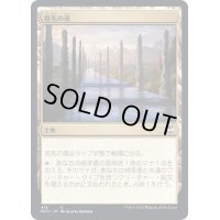 祖先の道/Path of Ancestry《日本語》【NCC】