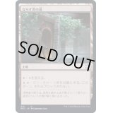 ならず者の道/Rogue's Passage《日本語》【NCC】