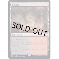 [EX+]燻る湿地/Smoldering Marsh《日本語》【NCC】