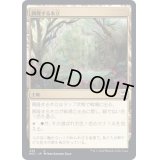 興隆する木立/Thriving Grove《日本語》【NCC】