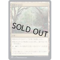 興隆する木立/Thriving Grove《日本語》【NCC】