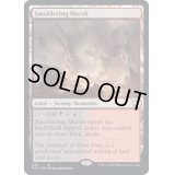 [EX+]燻る湿地/Smoldering Marsh《英語》【NCC】