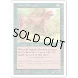 [EX+]訓練された豹/Trained Cheetah《英語》【PTK】