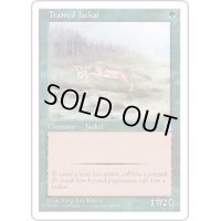 [EX+]訓練された野犬/Trained Jackal《日本語》【PTK】